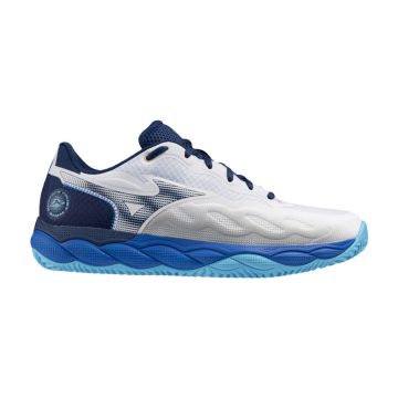 Mizuno Wave Enforce Court CC